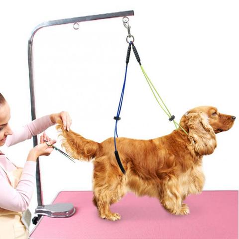 Laisse pour chien corde pour animaux de compagnie chien chat toilettage boucle Table réglable toilettage pour animaux de compagnie toilettage bras bain retenue corde ► Photo 1/6