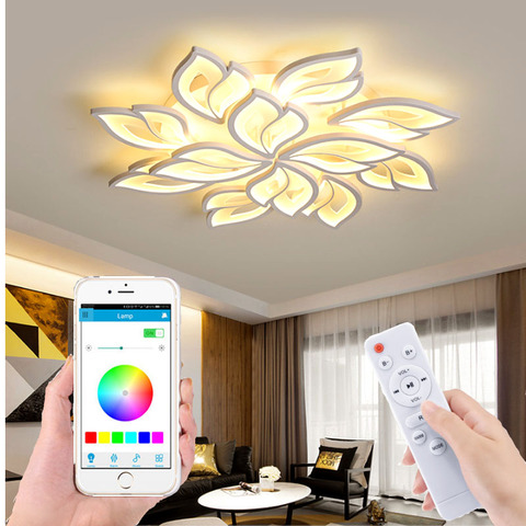 Plafonnier LED acrylique moderne avec fonction de télécommande par application mobile, luminaire de plafond à succion, idéal pour un salon ou une chambre à coucher, vente d'usine ► Photo 1/6