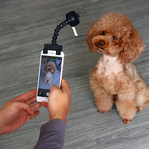 Bâton de Selfie pour animaux de compagnie, pour iPhone Samsung et la plupart des smartphones, adapté à la tablette, noir/blanc, livraison directe ► Photo 1/6