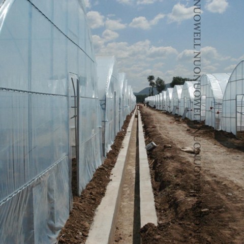 Bâche transparente pour serre agricole, épaisseur 0.1mm, Film pour cultures agricoles et légumes, largeur 2m ~ 12m ► Photo 1/6