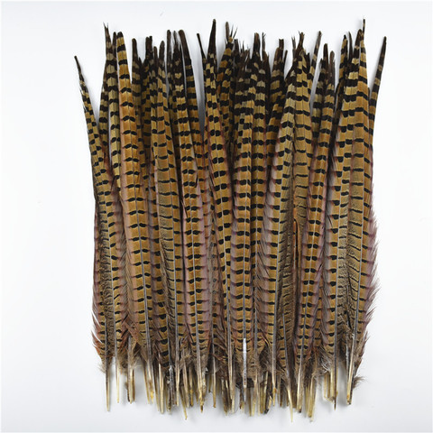 Plumes de queue de faisan naturelles, pour l'artisanat, plumes de décoration de mariage, carnaval 15-65cm/6-26 pouces ► Photo 1/6