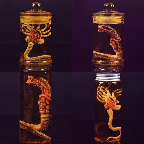 Figurines de dessin animé Alien Predator larve Face Bug, jouets, poitrine, réservoir de Culture Facehugger ► Photo 1/5