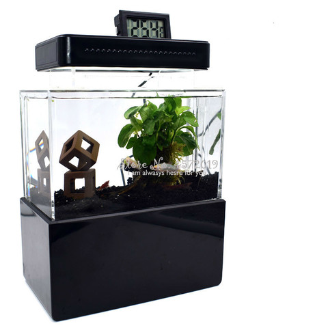 Betta – Mini Aquarium Portable avec filtre à eau, lampe LED, pompe à Air USB, décoration Portable ► Photo 1/6