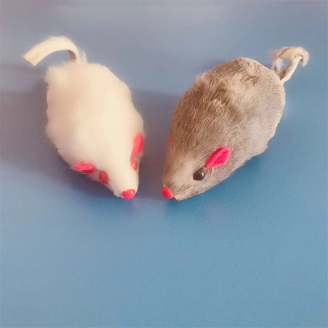 Jouets interactifs en vraie fourrure de souris, 12 pièces, jouets interactifs chargés, jouets pour chat et chaton pour chat pour attraper et mâcher avec son, livraison directe ► Photo 1/5