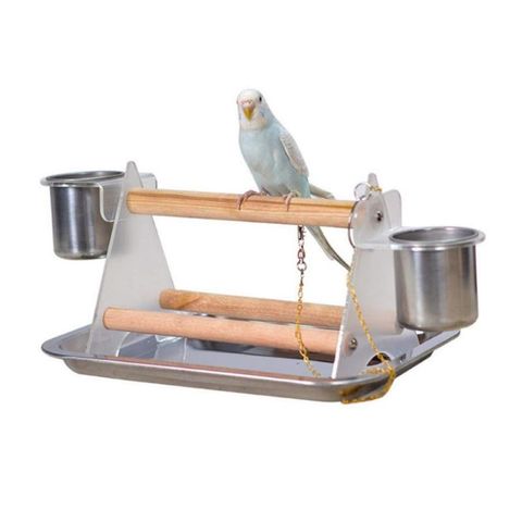 Perroquet oiseau bureau escalier Support plateau perche Support morsure broyeur griffe Fun acrylique jouets pour animaux de compagnie ► Photo 1/5