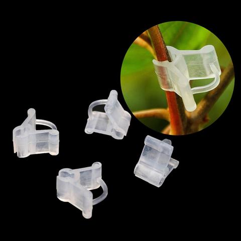 Clips de greffage en plastique Transparent, Clips de greffage de plantes à fleurs et légumes, outils d'ornement de jardin, 20 pièces ► Photo 1/6