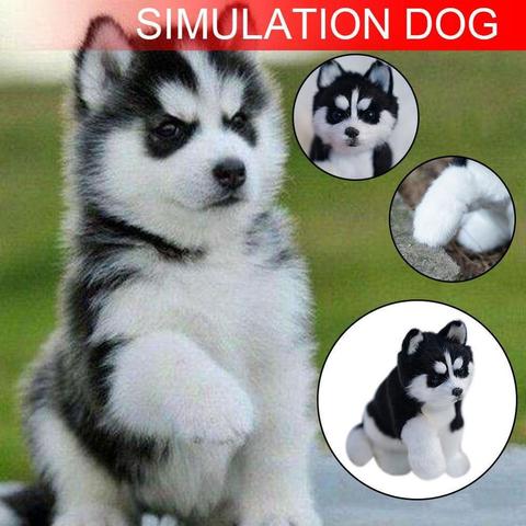 Réaliste Husky chien Simulation jouet chien chiot réaliste en peluche compagnon jouet animal de compagnie chien artisanal livraison directe cadeau de noël ► Photo 1/6