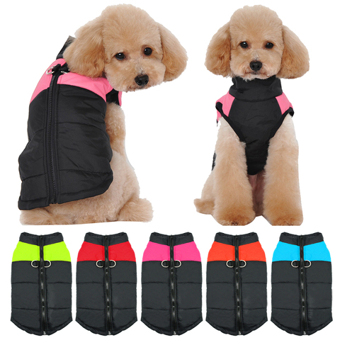 Vêtements d'hiver pour chiens, manteau imperméable, chaud animal de compagnie, veste, Chihuahua, vêtements français pour bouledogue, petits chiots ► Photo 1/6