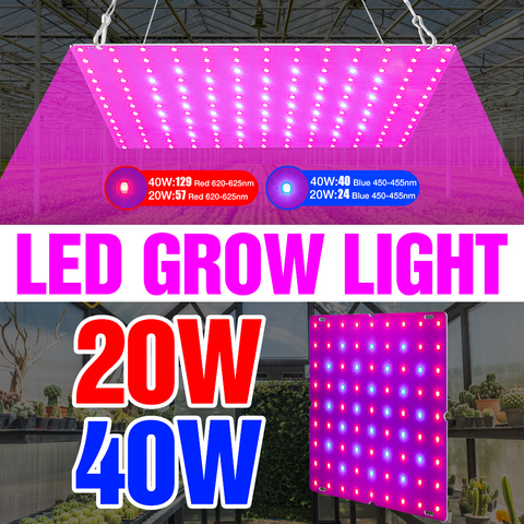 Panneau lumineux Quantum pour croissance de plantes, 20/40W, phyto-lampe pour serre intérieure ► Photo 1/6