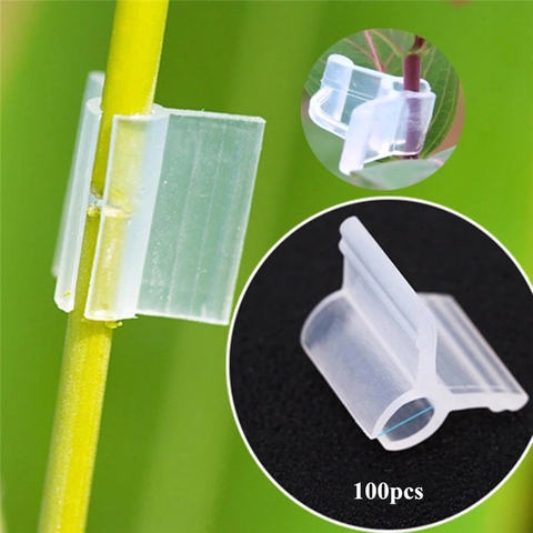 Clips de support horticole blanc, 2 à 5mm, pour greffage de plantes, Tube rond, piquet pour Tube de cadre de serre, Clip de retenue de jardin, 100 ► Photo 1/6