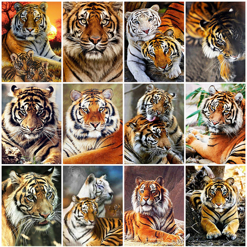 Evershine-peinture diamant thème tigre, broderie complète 5D avec animaux carrés, image avec strass, mosaïque bricolage, décoration d'intérieur, cadeau ► Photo 1/6