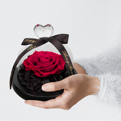 Roses éternelles de la belle et la bête, vente en gros, avec lumière, pour mariage, noël, saint valentin, livraison directe ► Photo 1/6