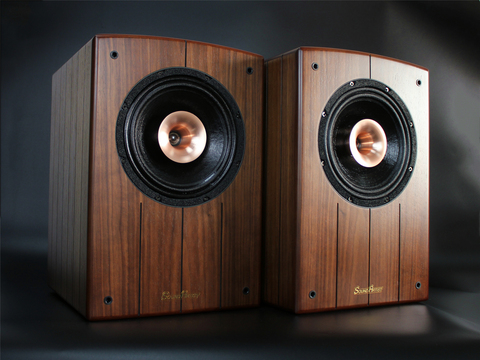 SoundArtist SC8B 8 pouces haut-parleur Coaxial HiFi bibliothèque haut-parleurs paire ► Photo 1/5