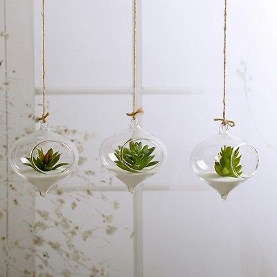 Boule suspendue verre fleur planteur Vase Terrarium conteneur paysage bouteille ► Photo 1/6