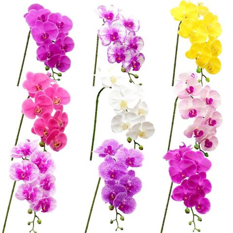 Latex 9 têtes orchidée artificielle 25 couleurs grande taille faux Phalaenopsis silicone PU vraie touche mariage ► Photo 1/6