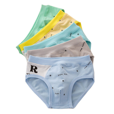 2 pièces/lot slips garçons sous-vêtements pour enfants Shorts en coton bio culottes enfants 2-10 ans ► Photo 1/6