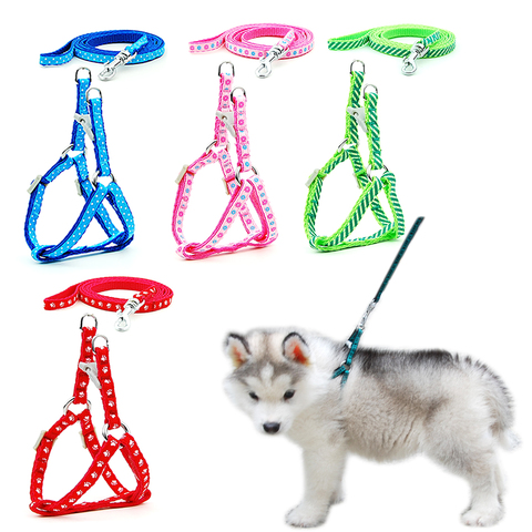 Harnais à laisse pour animaux domestiques, collier pour chiens et chats, pour chiots, petits chats, pour marcher en plein air, pour Chihuahua, Terier Schnauzer, 2 pièces/lot ► Photo 1/6