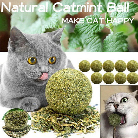 Boule d'herbe à chat comestible pour animaux de compagnie, jouets de sécurité pour chats, menthe, chasse à domicile, produits de jeu, dents propres, ventre ► Photo 1/6