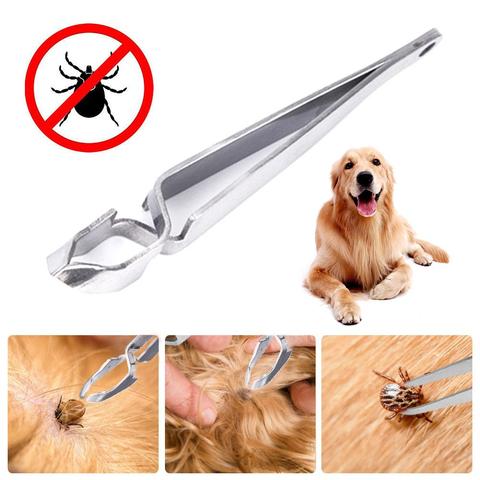 Pincette anti-puces en acier inoxydable, pincette anti-tiques pour chien et chat, accessoire pour animaux de compagnie ► Photo 1/6