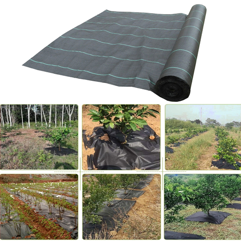 Agriculture mauvaise herbe barrière paysage tissu couvre-sol tapis de jardin en plastique plante cultiver soin tissu noir PP ► Photo 1/6