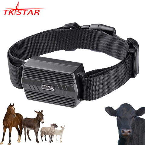 TK935 – localisateur GPS de chameau pour vache TKSTAR, étanche, aimant de voiture, moniteur vocal, application Web gratuite ► Photo 1/6