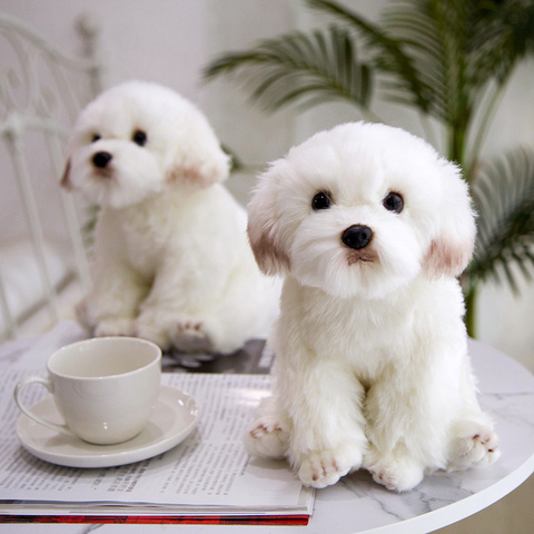 Simulation chien maltais en peluche Animal en peluche Super haute qualité réaliste Schnauzer jouet pour luxe décor à la maison amoureux des animaux de compagnie cadeau ► Photo 1/6