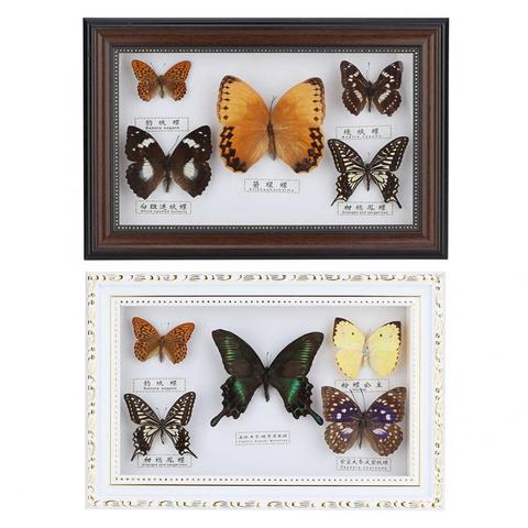 Cadre Photo de papillons, 5 pièces, cadeau d'anniversaire exquis, cadeau artisanal, ornement de maison, décorations de maison ► Photo 1/6