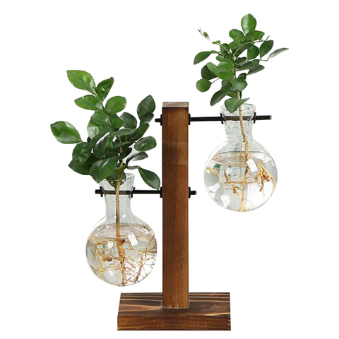 Vases à plantes hydroponiques Pot de fleur Vintage Vase Transparent cadre en bois verre plantes de table maison bonsaï décor ► Photo 1/6