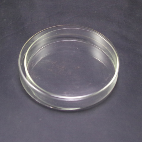 Instrument chimique stérile, en verre transparent de 60mm, avec couvercles, microorganismes, Instrument chimique, livraison directe ► Photo 1/3