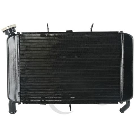 Refroidisseur de radiateur en aluminium pour moto, pour Yamaha XJ6 XJ 6 2009-2015 2010 2011 ► Photo 1/6