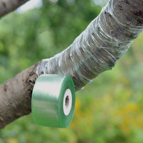 Auto-adhésif arbre fruitier greffage film pépinière extensible greffage bande branche jardinage lier ceinture outil de jardin ► Photo 1/6