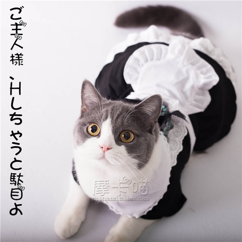 Vêtements doux pour animaux de compagnie chat vêtements chat bonne uniformes robe japon Polyester coton robe ► Photo 1/1