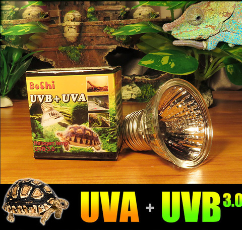 Lampes à incandescence UVA UVB, pour terrarium, Reptile halogène à spectre complet, projecteurs chauds, 110-220V, lot de 4 unités ► Photo 1/4