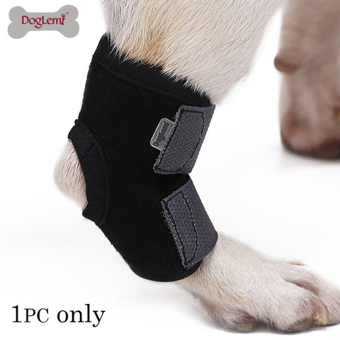 DogLemi – bandages pour chiens, 1 pièce, sangles de Protection pour les articulations des petits chiens, équipement médical ► Photo 1/6