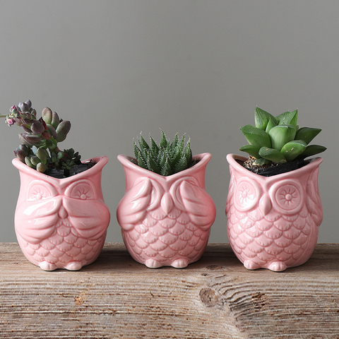 Mini pot de fleurs en porcelaine, 3 pièces, en forme de hibou rouge, pour bureau, décoration de jardin, maison ► Photo 1/6