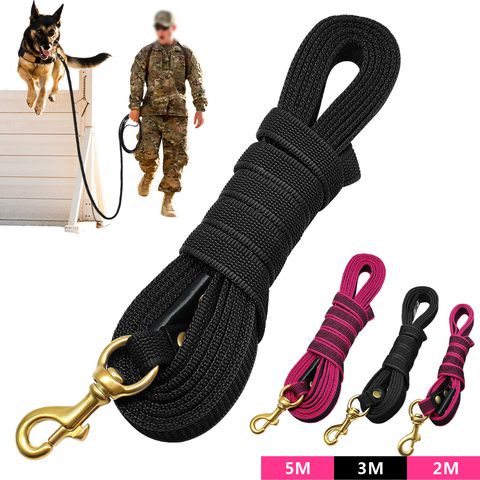 Laisse antidérapante pour chien, en Nylon, pour chien moyen et grand, pour entraînement à la marche, longueur 2m, 3m et 5m ► Photo 1/6