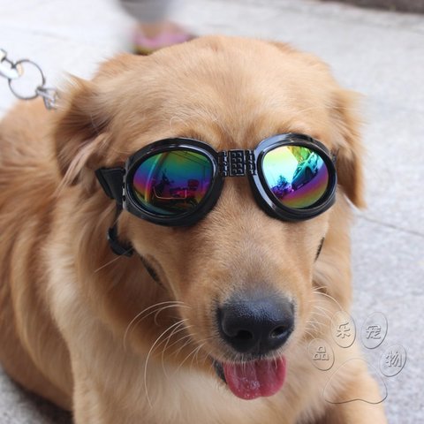 Nouvelles lunettes de soleil Ultra fines pour chiens de compagnie, coupe-vent, Protection UV, anti-poussière de sable, accessoires pour chiens moyens et grands ► Photo 1/6