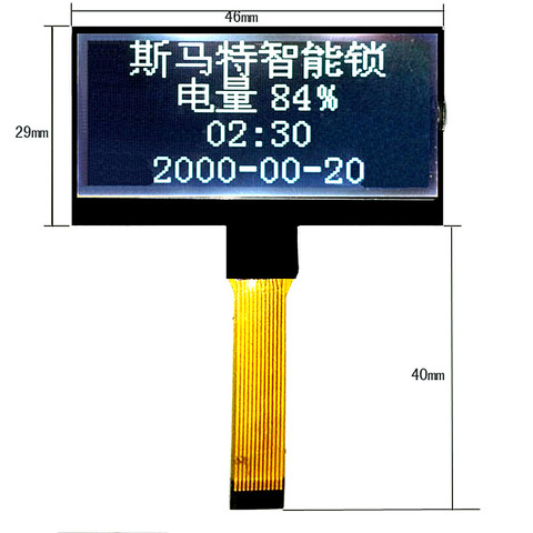 Écran LCD à matrice de points 12864, 12 broches, LX12864T2, COG12864 ► Photo 1/2