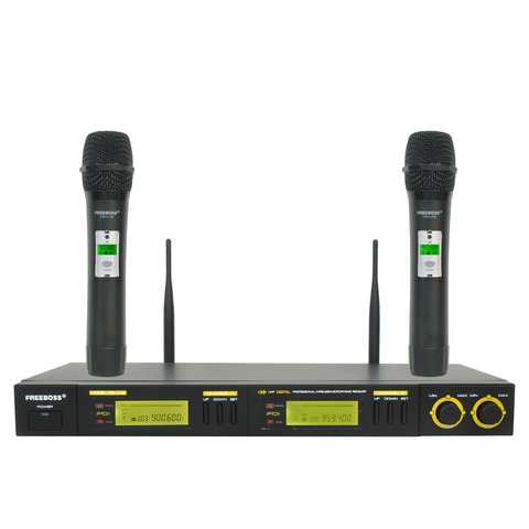 Freeboss – système de Microphone sans fil FB-U12 UHF, 2 voies, 100 canaux IR, fréquence sans fil, Microphone Karoke KTV, Microphone dynamique de fête ► Photo 1/1