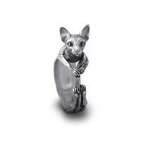 Bague Vintage Sphynx de chat, bague à la mode, Style rétro, pour femmes et hommes, bijoux de chat ► Photo 1/6