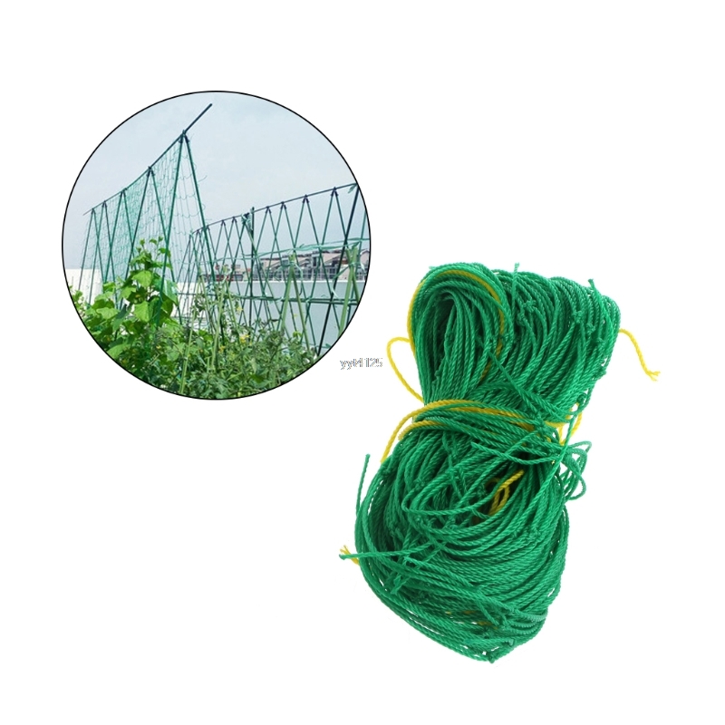 Filet en treillis pour plantes grimpantes de jardin, accessoires en Nylon  pour plantes grimpantes, vigne de concombre - AliExpress