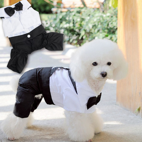 Costume pour animaux de compagnie, robe de mariée pour petits chiens, chiot Teddy, manteau, accessoires pour chiens ► Photo 1/6
