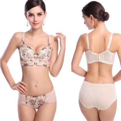 Lingerie de luxe profonde V en dentelle pour femmes, nouvelle marque sexy, grande taille, ensemble de soutien-gorge push-up multicolore, floral, broderie 2022 ► Photo 1/5