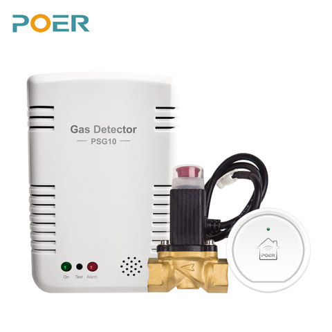 Détecteur intelligent de fuite de gaz naturel, 868Mhz, Butane, Propane, moniteur, alarme, notification par application, notification vocale ► Photo 1/4