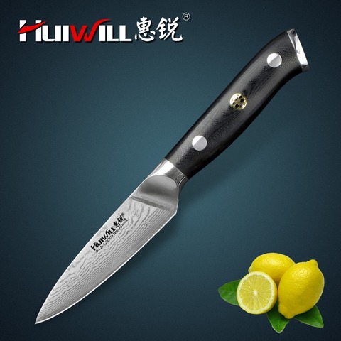 Huiwill-couteau à éplucher les fruits japonais, VG10, damas, cuisine 3.5 