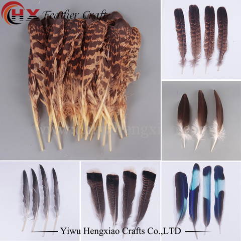 Gros haute qualité hibou aigle plume divers décoratifs bricolage faisan plumes recueillir ► Photo 1/6