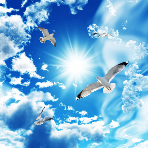 Personnalisé grand plafond zénith Mural papier peint 3D stéréo bleu ciel blanc nuages colombe Nature paysage Photo murale plafond fonds d'écran ► Photo 1/6
