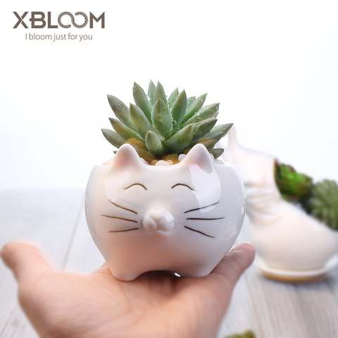 Pot de fleurs en céramique, dessin animé, chat, ours polaire, pingouin, Pot de fleurs, pour la maison, bureau, Statue de chat chanceux, autocollant, cadeau d'anniversaire et de mariage ► Photo 1/1