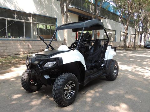 Intelligent Plage Buggy Belle UTV Modèle AOS200 ► Photo 1/1