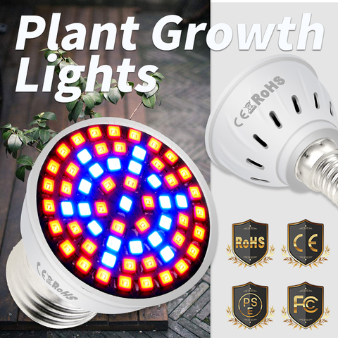 E27 LED phytolamp serre 220V GU10 LED grandir lumière B22 LED plante d'intérieur lampe E14 UV ampoule semis 4w 6w 8w groeilampen gu5.3 ► Photo 1/6